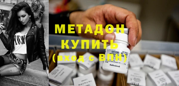 прущие грибы Аркадак