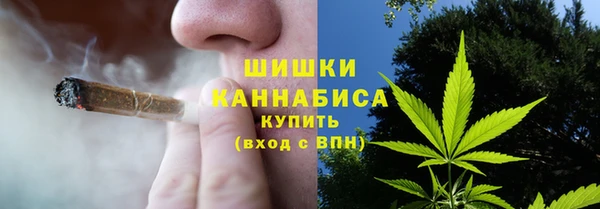 прущие грибы Аркадак