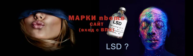 прущие грибы Аркадак