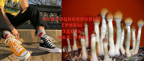 метадон Арсеньев