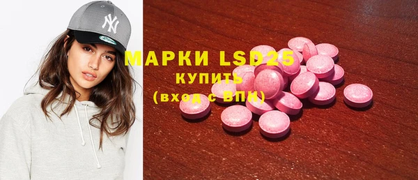 прущие грибы Аркадак