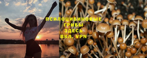 метадон Арсеньев