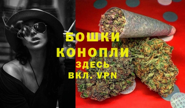 прущие грибы Аркадак