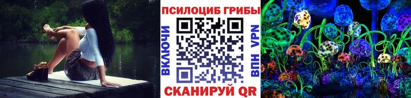 Галлюциногенные грибы мицелий наркотики дарк нет клад Ковылкино